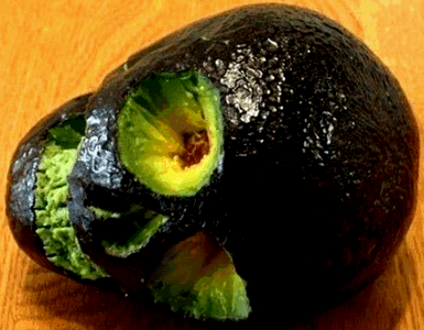 Авокадо ядовито